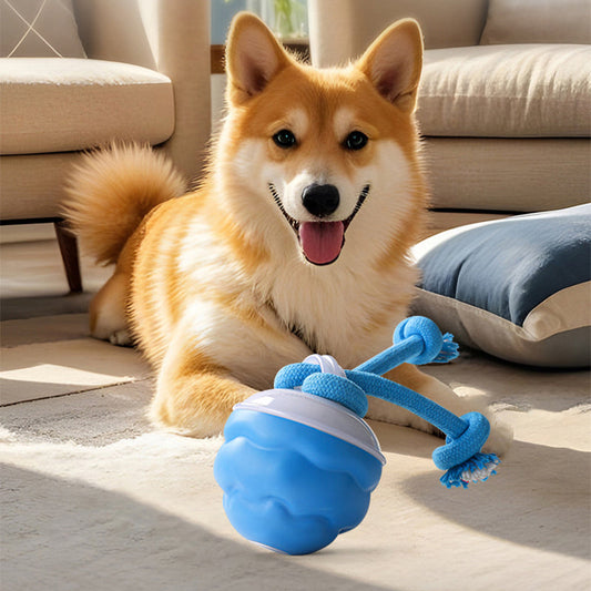 🐶Interaktywna elektroniczna piłka uspokajająca dla zwierząt domowych