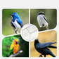 🦜Wysuwany zewnętrzny karmnik dla papug
